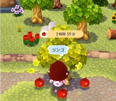 ポケ森 どうぶつの森 スマホ 攻略 りんご フルーツの木