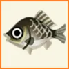 ポケ森 アイテム売却金額 とれるもの 魚 フナ