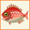 ポケ森 アイテム売却金額 とれるもの 魚 タイ