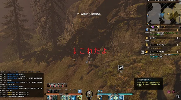 BLESS ルル兄弟のターバン 場所 金鉱石　