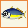 ポケ森 アイテム売却金額 とれるもの 魚 アジ