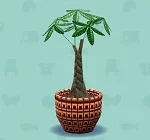 ポケ森 家具まとめ パキラ