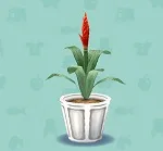 ポケ森 家具まとめ アナナス