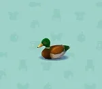 ポケ森 家具まとめ デコイ