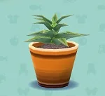ポケ森 家具まとめ アロエ
