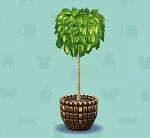 ポケ森 家具まとめ ベンジャミン