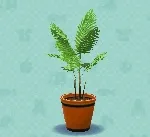 ポケ森 家具まとめ ヤマドリヤシ