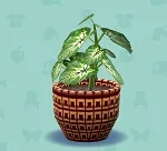 ポケ森 家具まとめ カラジューム