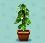 ポケ森 家具まとめ ポトス