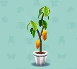 ポケ森 家具まとめ カカオ