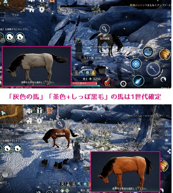 黒い砂漠モバイル 馬 1世代 2世代 見分け方